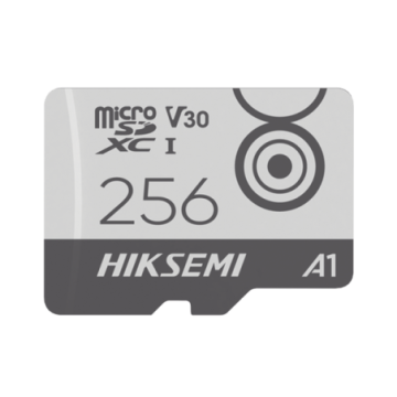 HS-TF-M1/256G